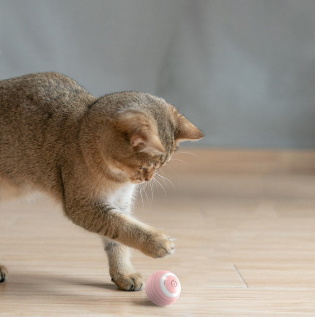 Automatic Moving Bouncing Toy Ball